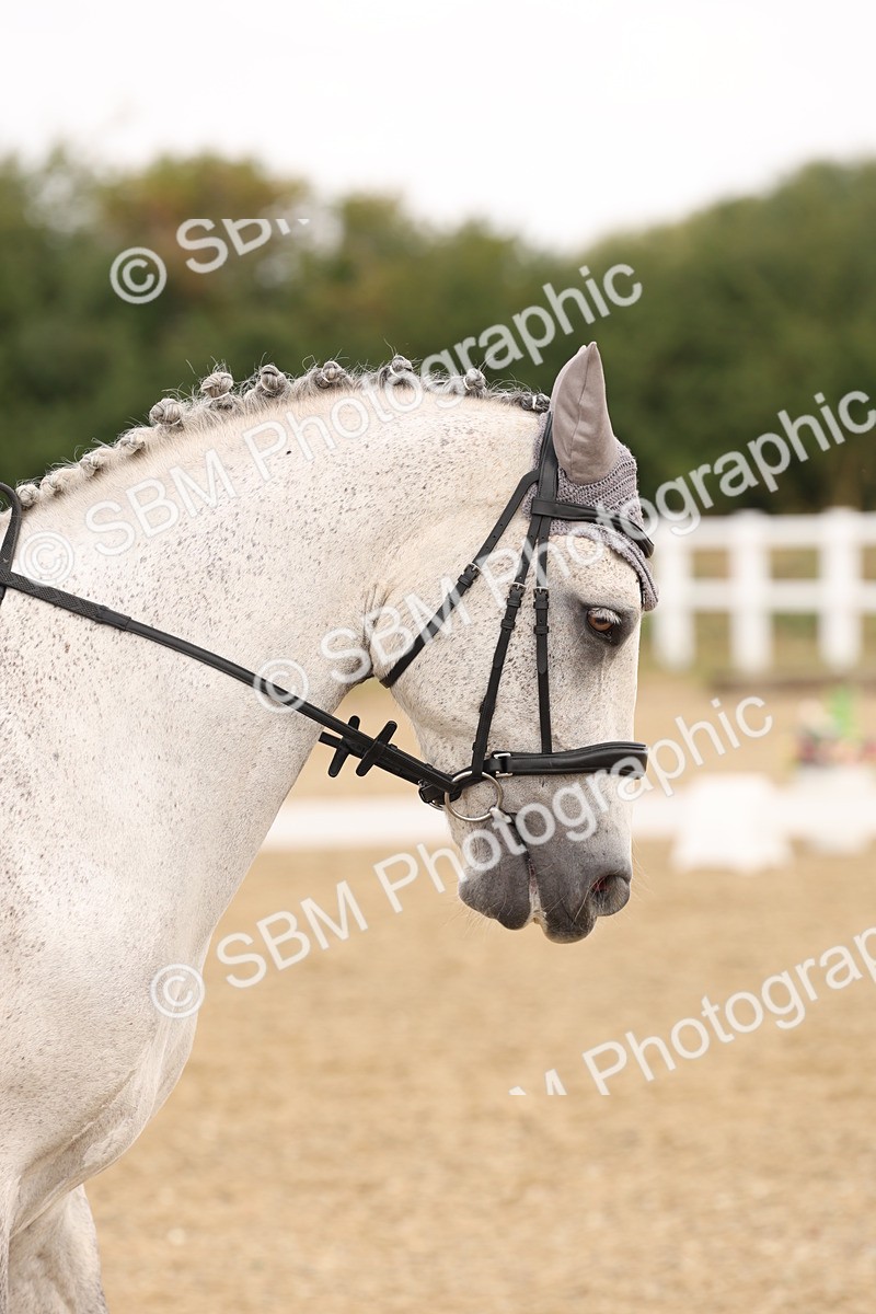 SBM_005486 - Class 12 - Elementary 6 Silver - 10.36-11.32