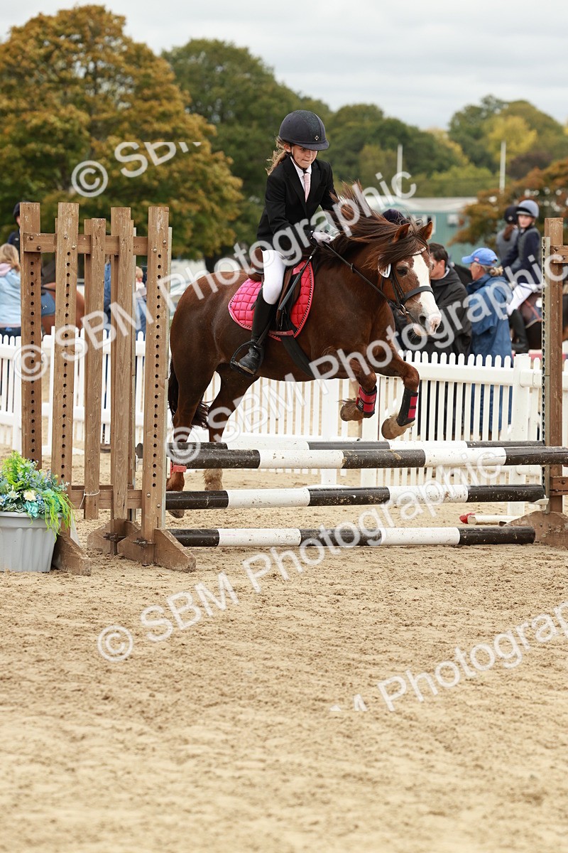 SBM_67091 - J13 - Junior Pony 60cm Championship
