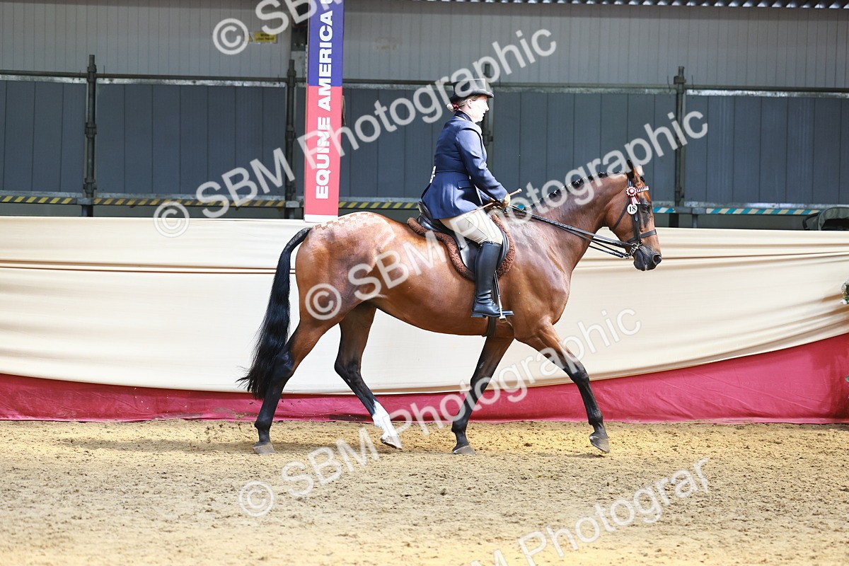 SBM_23294 - class 906 - Supreme Final - Ridden Pre Vet
