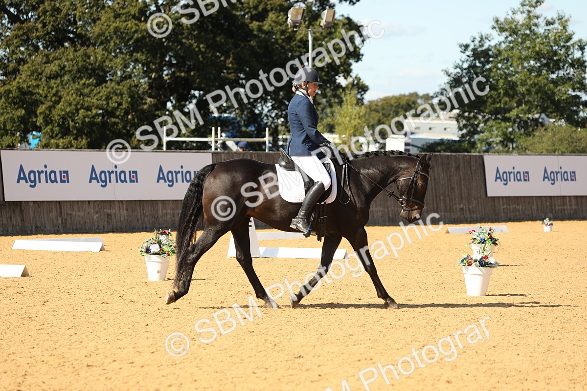 SBM_24498 - D17 - Grand Tour Championship - Novice 27