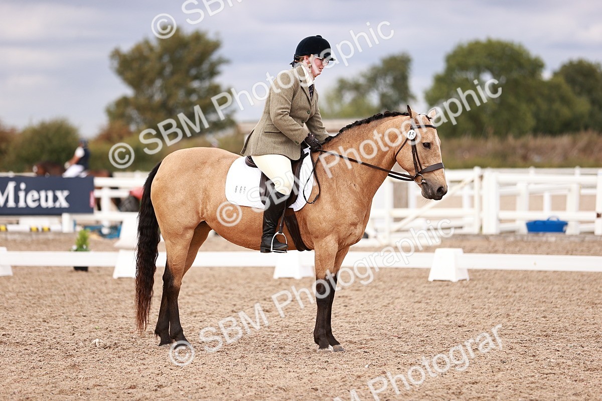 SBM_06347 - Class 37 - Novice 5