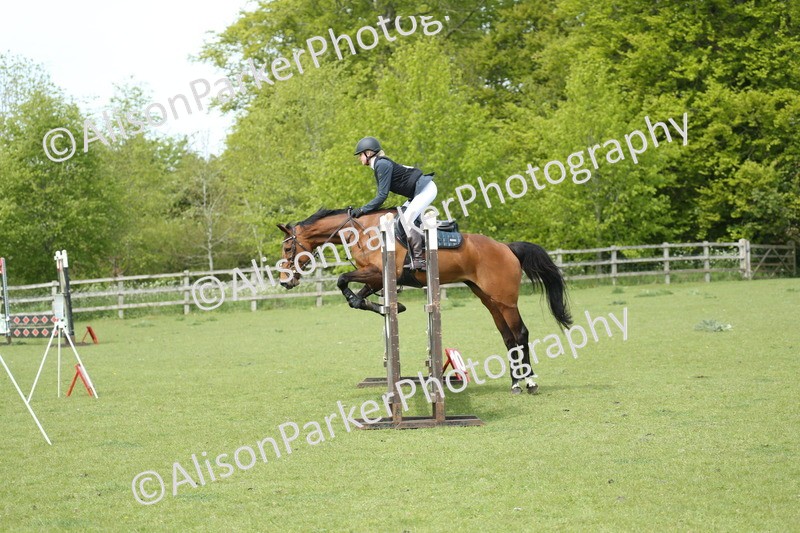 20260426-2002 - Class 15 - Absolute Novice 70cm
