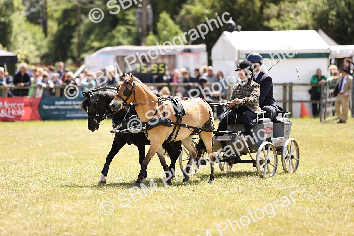 SBM_15165 - Class 90 - Scurry 122cm and Under