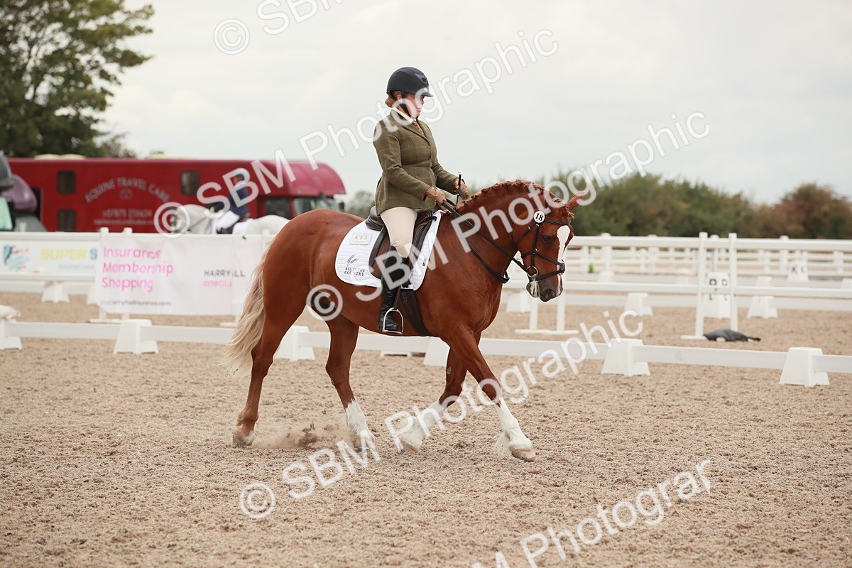 SBM_06108 - Class 33 - Elementary 1