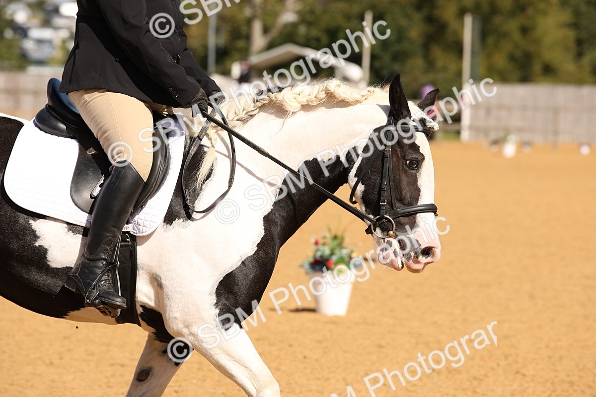 SBM_04329 - D2 Small Tour Championship Intro C
