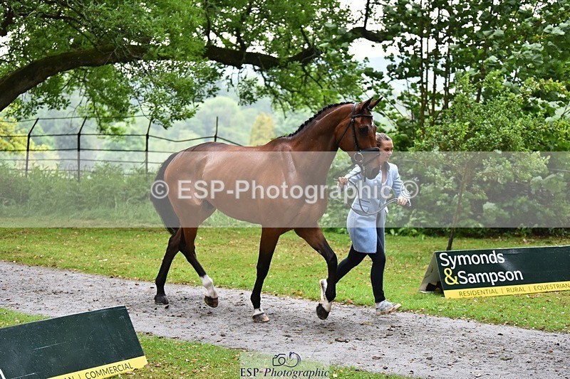 240522-162026-00845 - 240-KINDA_CORVETTE-Dani_Evans