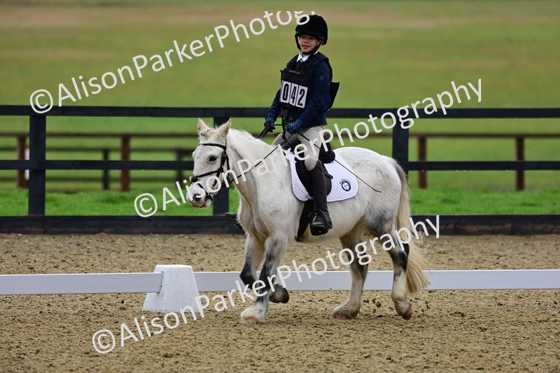 20260125-0523 - Class 9b - Walk Trot Unassisted