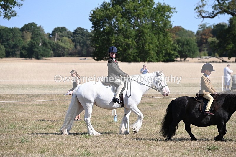 WJ6_7398 - Class 34 Judges Choice