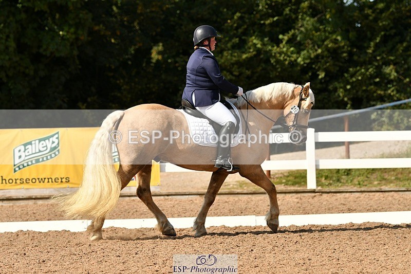 250817-161925-11552 - 216-Chloe.WaltonHaytors.Lord.of.the.Dance