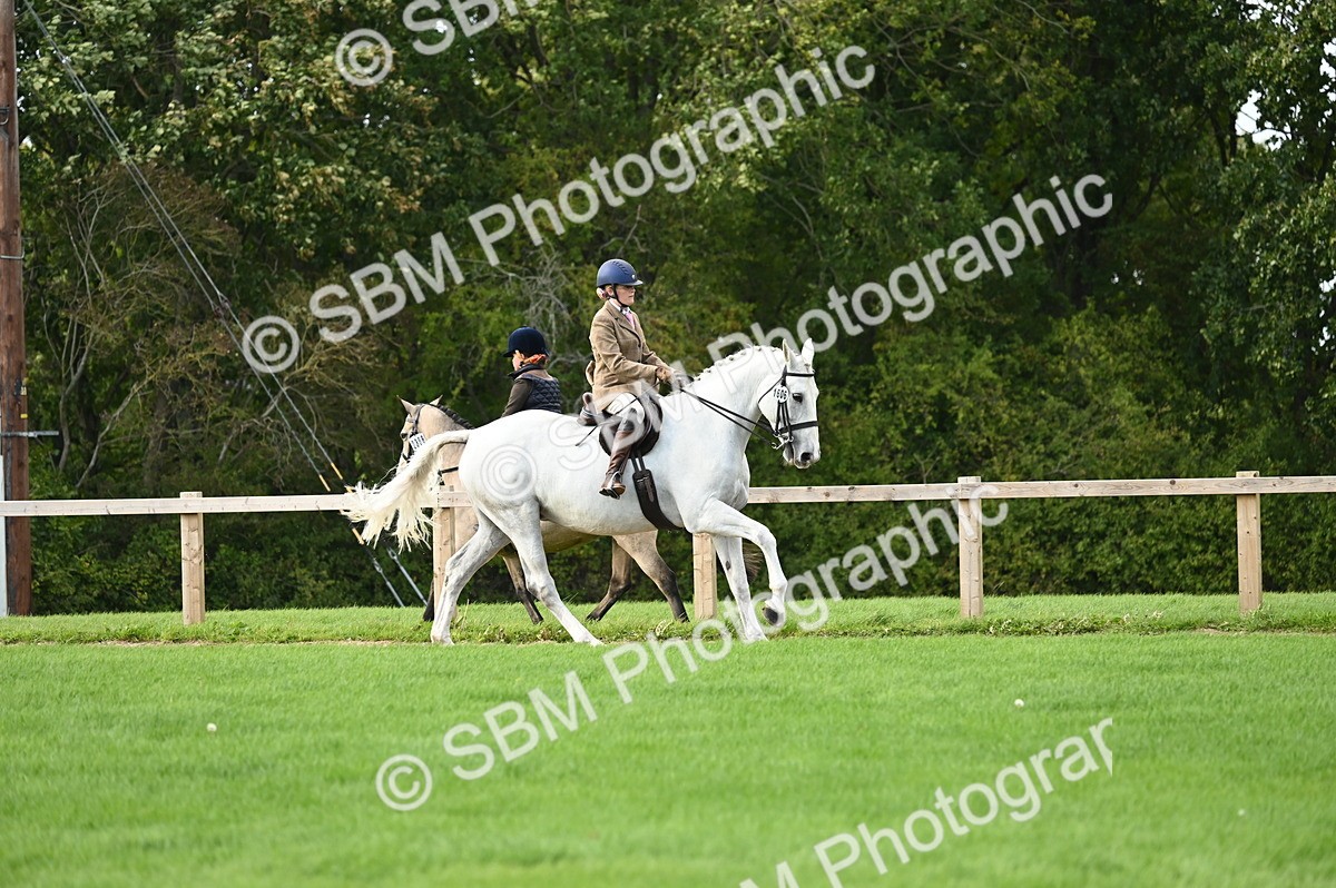 SBM_26403 - S6 - Novice & newcomer Ridden horse