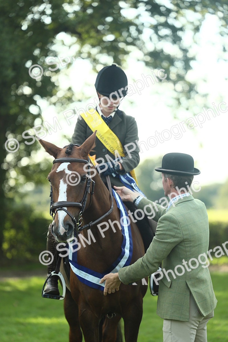 SBM_52293 - Working Hunter Supreme Championship