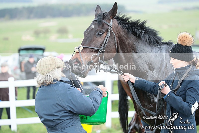 PtP 230324 460 - Tedworth Hunt PtP Larkhill Raccourse 23rd March 2024