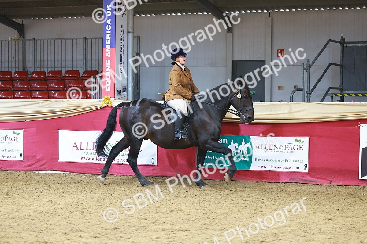 SBM_09417 - Class 102 - HOYS Veteran Qualifier - Ridden Veteran