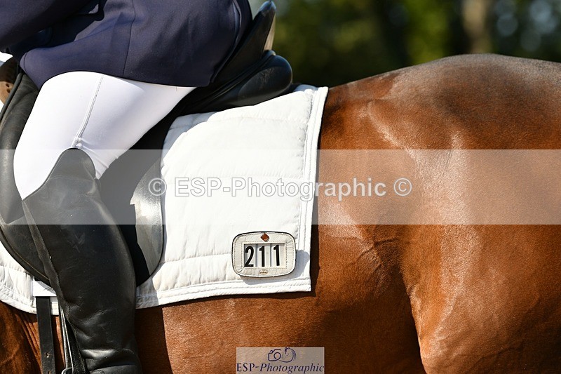 250817-155523-11392 - 211-Carey.CollettRubin's.Fanfare