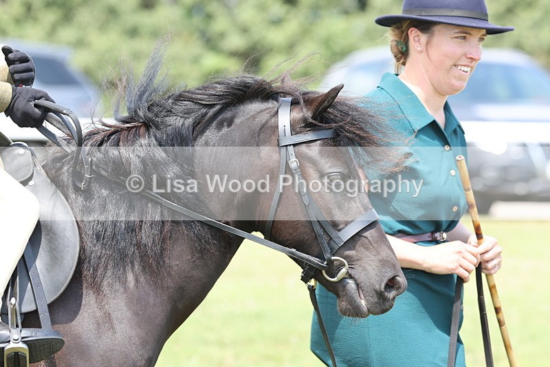 JPP_1884 - Class 18: Tiny Tots Working Hunter Pony