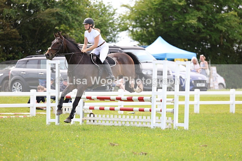 3E7A1479 - Class 13: Senior British Novice/90cm open