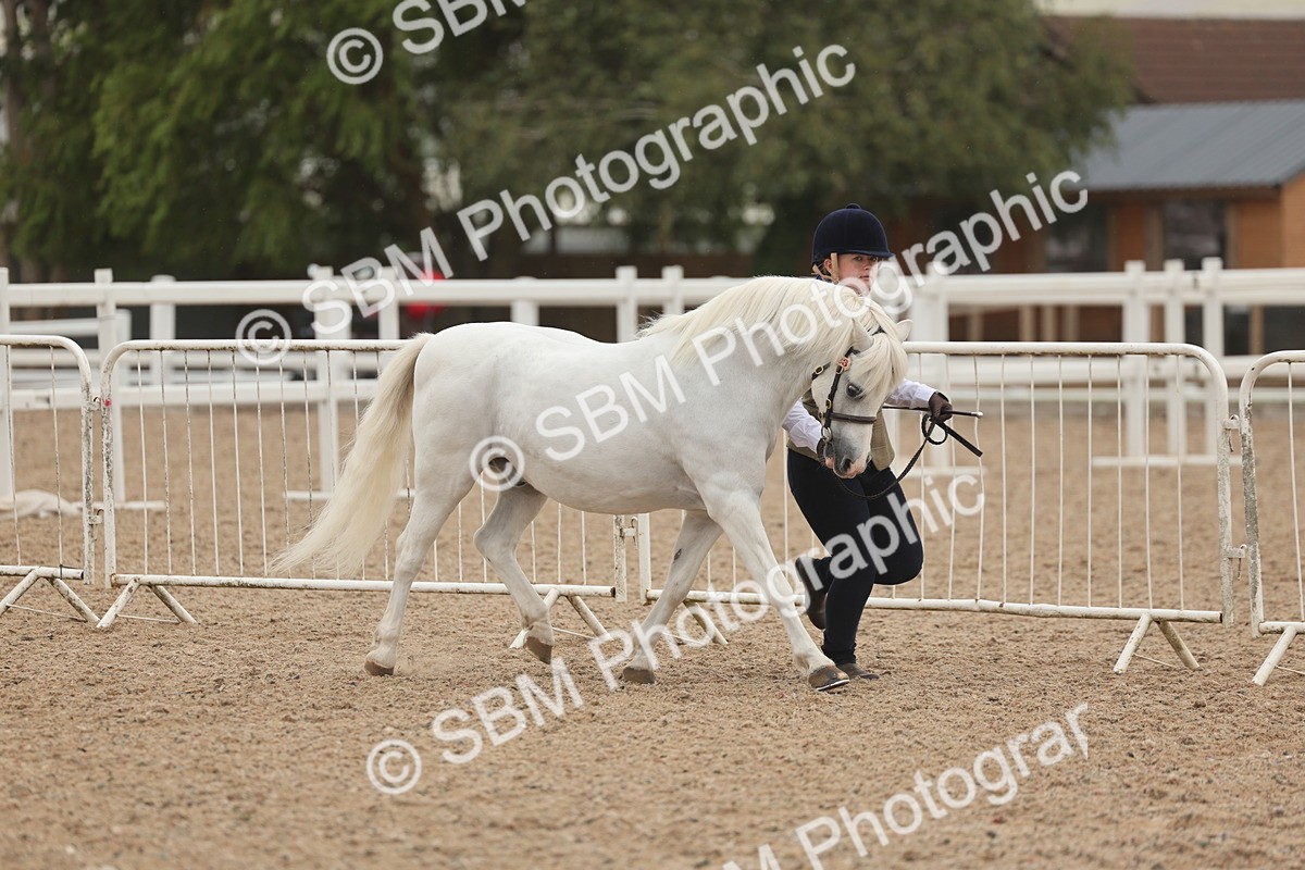 SBM_00459 - Class 13 Young Handler