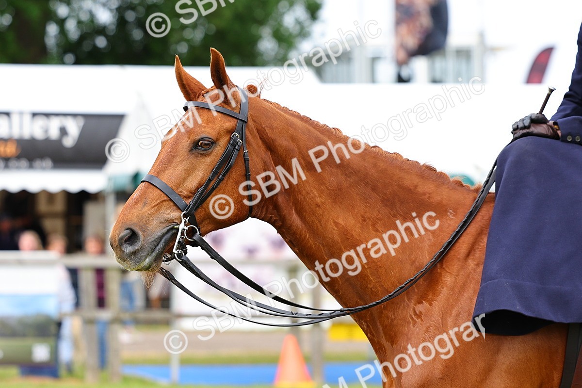 SBM_02958 - Class 9-11 Side Saddle including LIHS Rising Star Ladies Show Horse