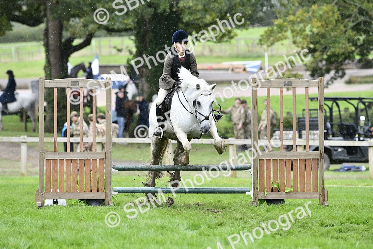 SBM_42272 - S32 - Mountain & Moorland Working Hunter Pony