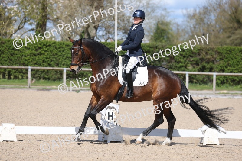 20260405-0596 - Class 7 - Medium 5