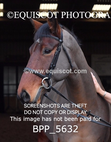 BPP_5632 - Imogen Gray