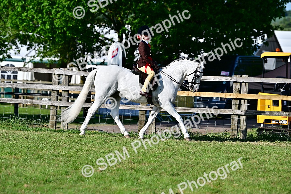 SBM_19909 - Class 103 - 105 - TSR Ridden Amateur of the Year Plaited Ponies