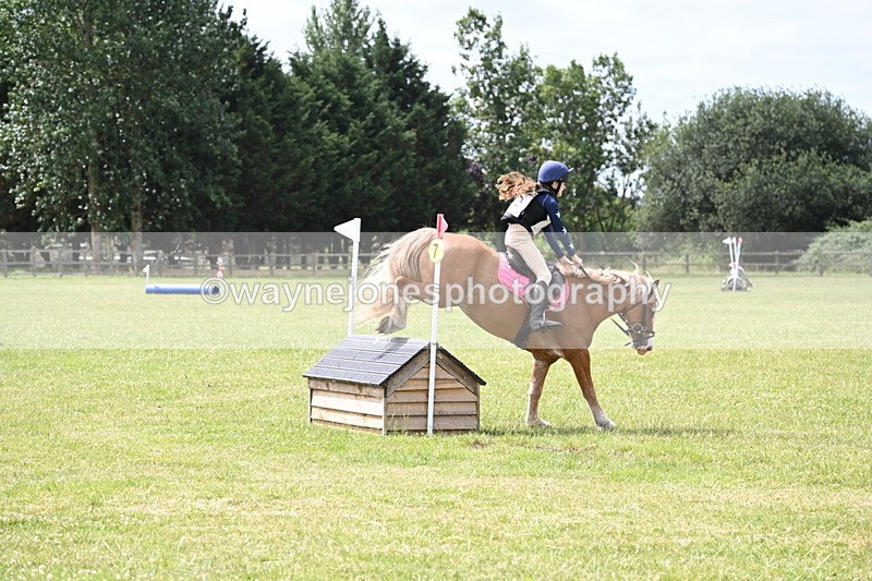 WJ6_6897 - 80cm XC Pairs