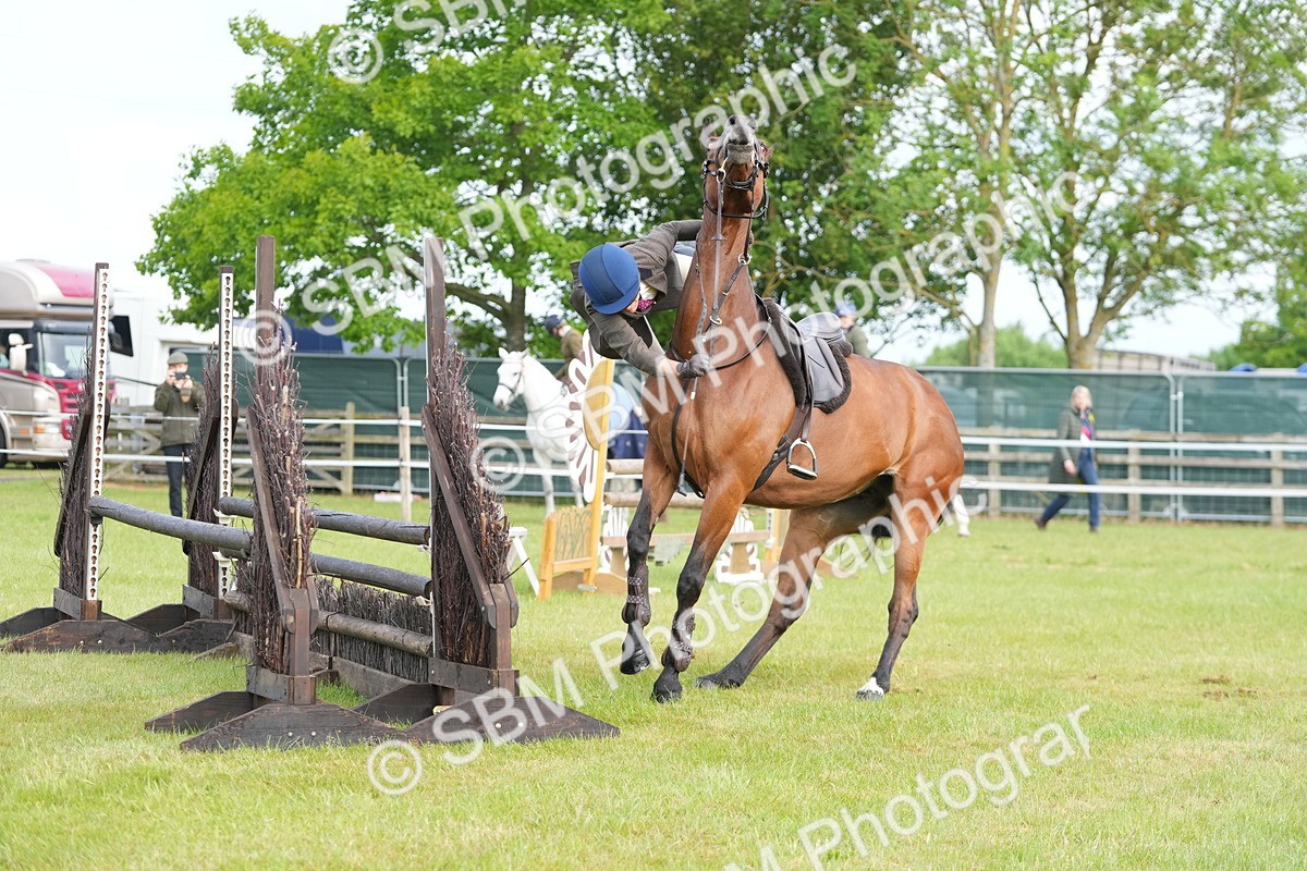 SBM_10463 - Class 97-98 - LIHS BSHA Rising Star Working Show Horse Hunter