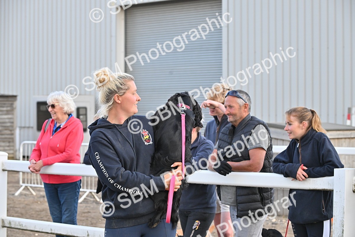 SBM_09535 - Lorry Dogs
