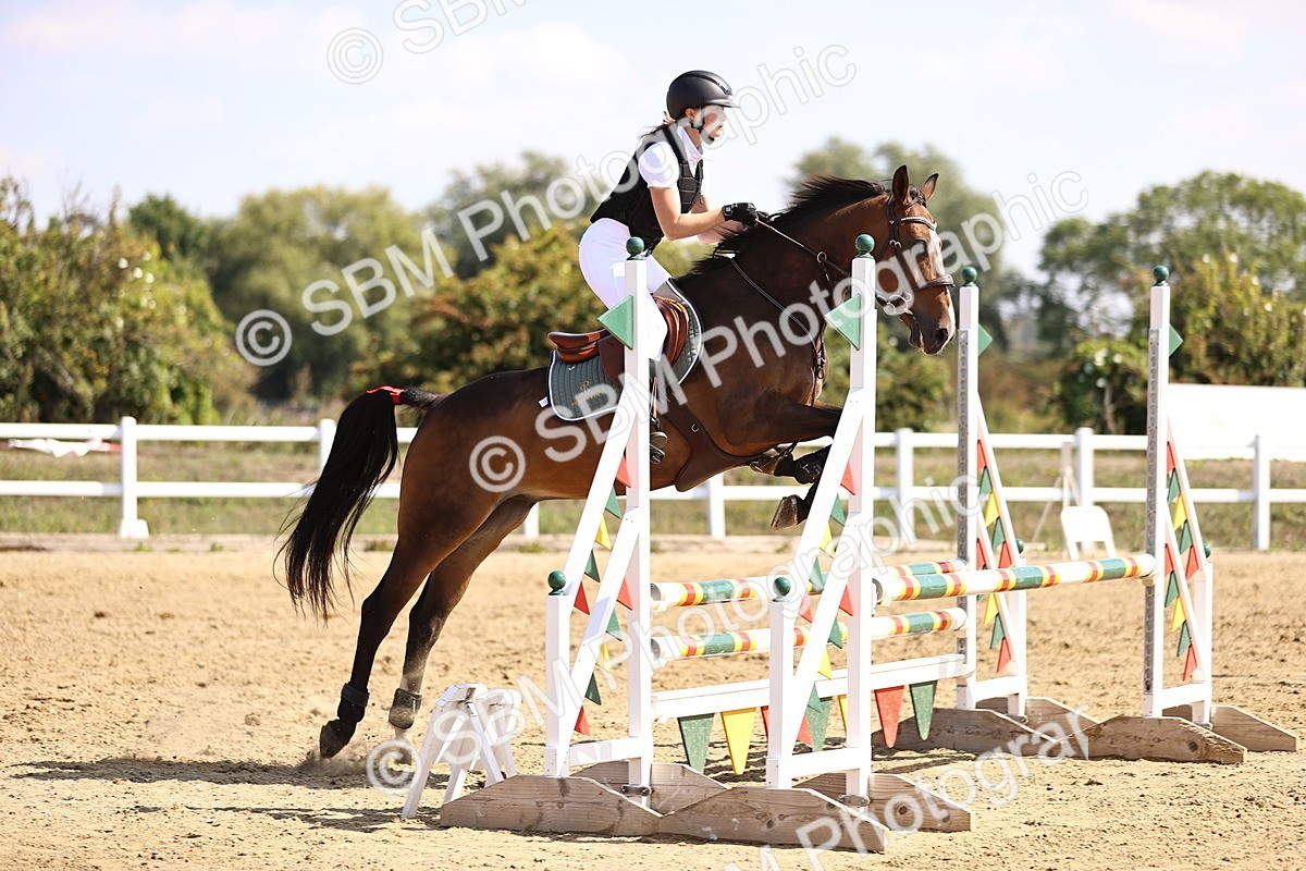 SBM_005945 - Class 9 - Senior British Novice - 90cm