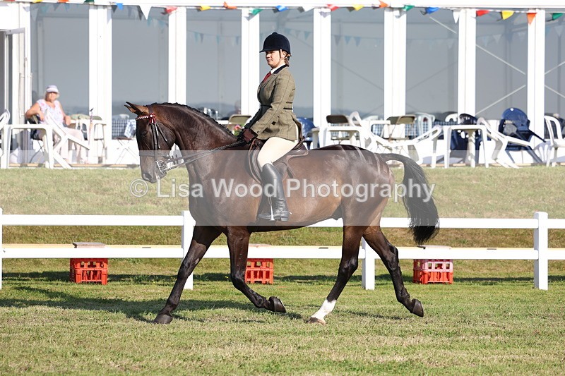 3E7A5365 - Class 2: Rising Star Large Hack/Riding Horse