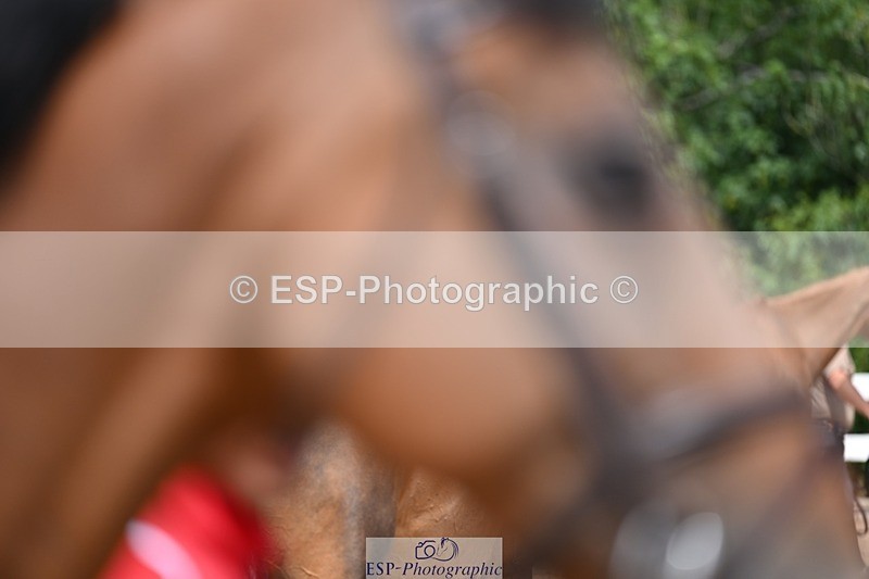 250716-125531-00220 - Trot Up 12.30 to 1.30