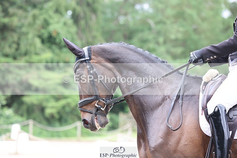 240523-103006-03327 - 234-MATTERHORN_RISING-Tom_Rowland