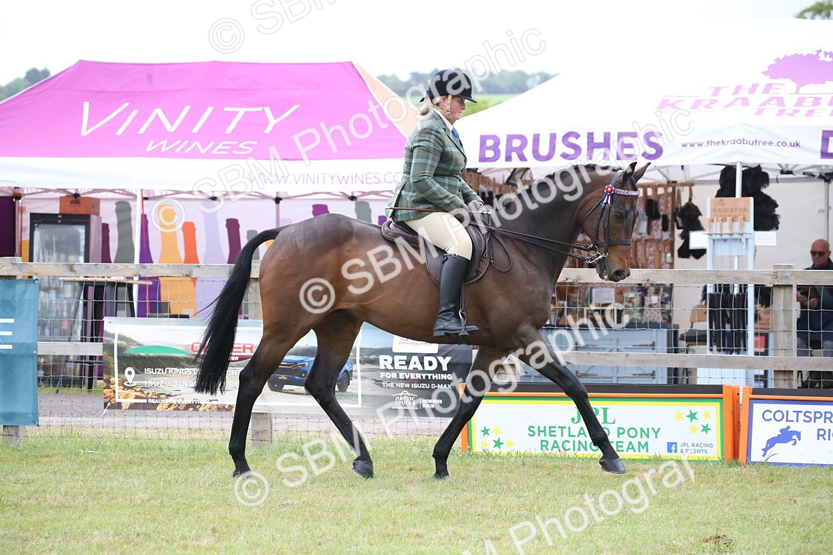 SBM_11405 - Class 94 - LIHS BSHA Racehorse to Showhorse