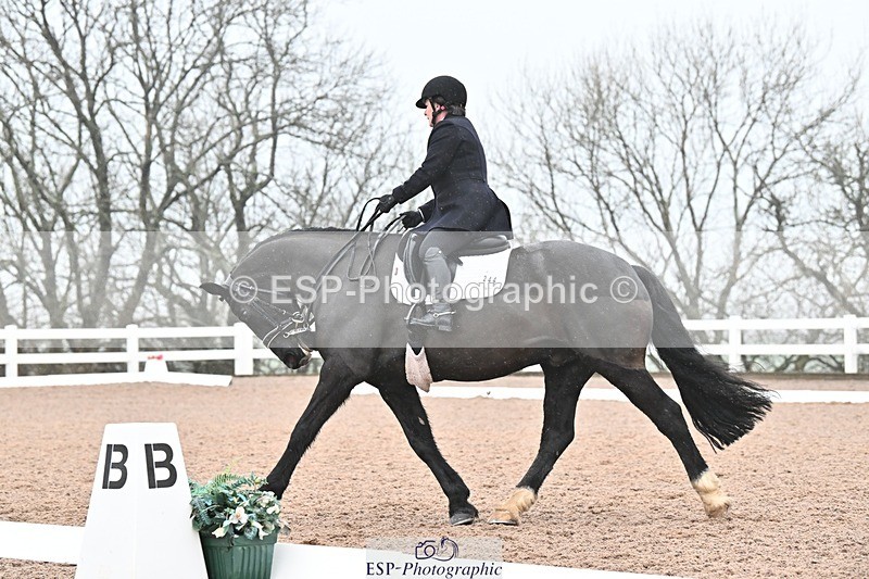 250215-103148-03044 - 244-Suzanne.Clark-Ballinamurra.Billy