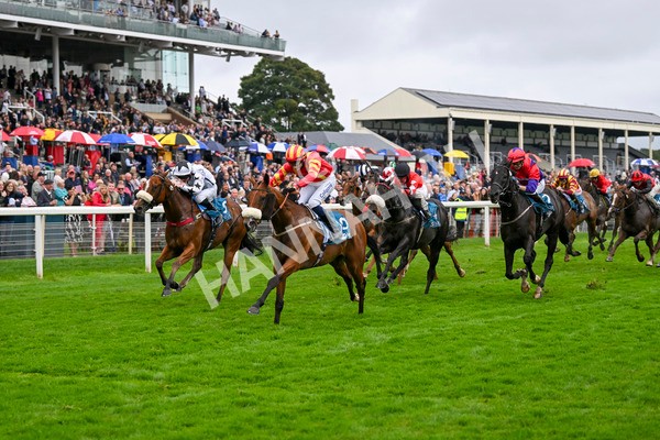 080924-Race 6-Northern Spirit-9473 - Race 6 4.35pm Hanson Springs Handicap