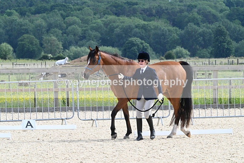 WJ7_8190 - Time 16:10 to 16:25