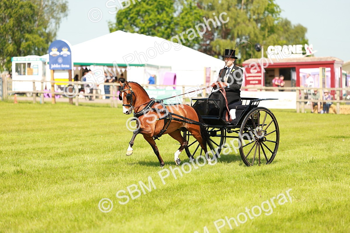 SBM_02678 - Class 2-4 - HOYS Private Driving