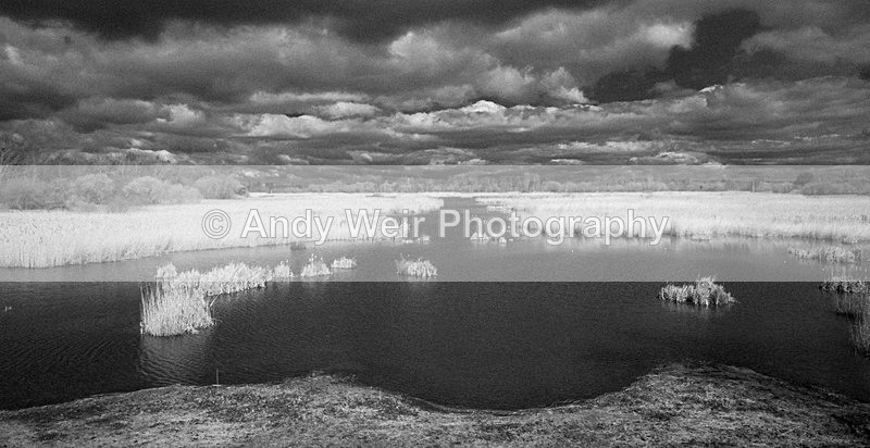 20150404-3K8A8330 - Woolston Eyes Nature Reserve