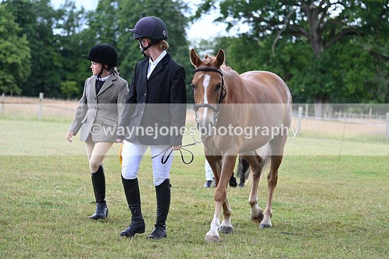 WJ7_7291 - Champs