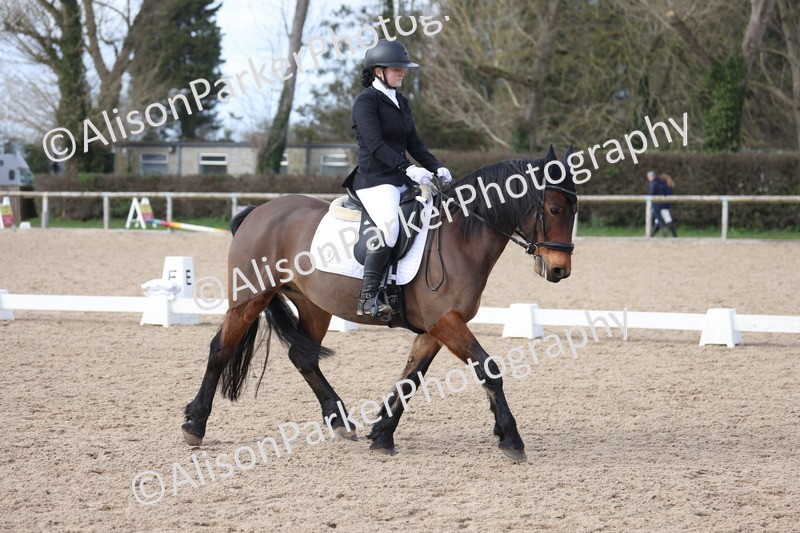 20260301-0833 - Class 5 - Elementary 4