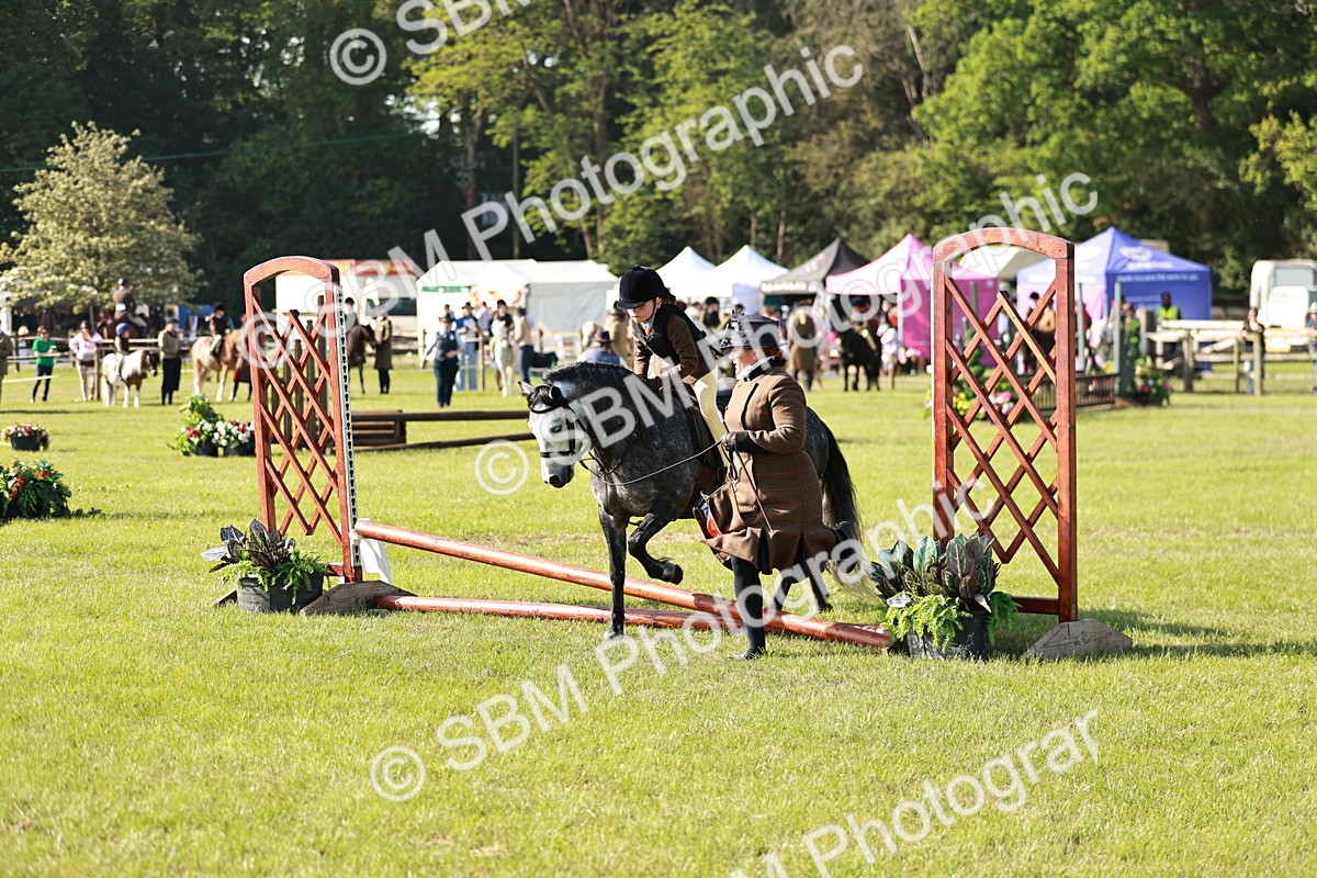 SBM_11226 - Class 106-107 - BSPS LIHS Working Sports Pony