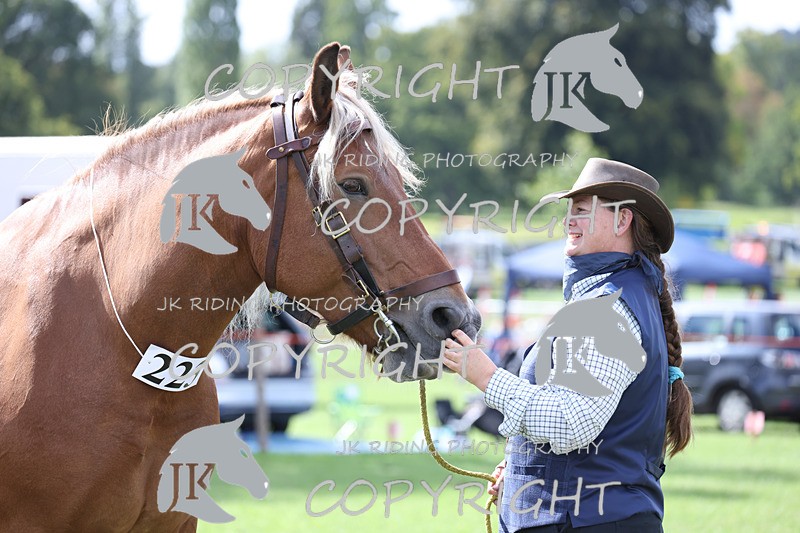 APP_3268 - Class 4 Veterans