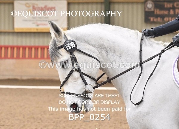 BPP_0254 - 1 - B MCFADYEN