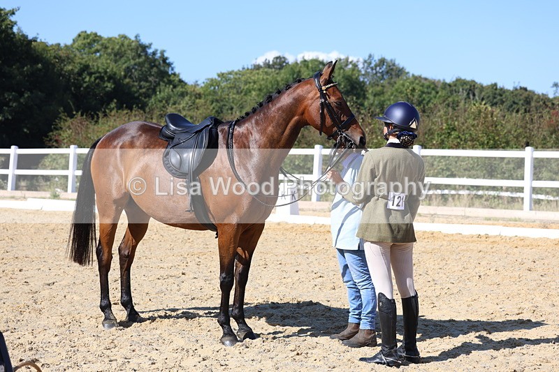 3E7A5760 - Class 10: Riding Horse