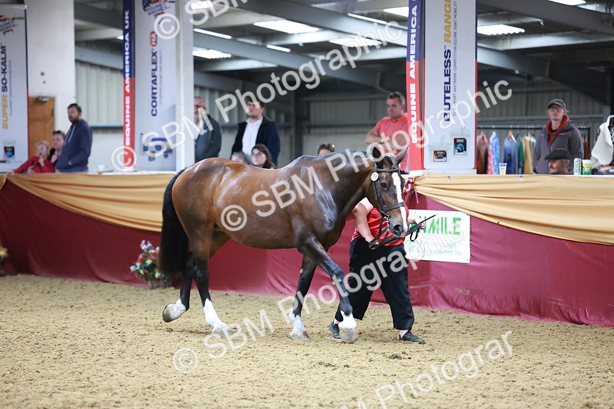 SBM_20086 - Class C - Novalty Champ