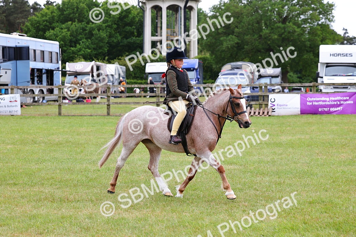 SBM_09415 - Class 44-45 - LIHS BSPS Open Nursery and Cradle Stakes