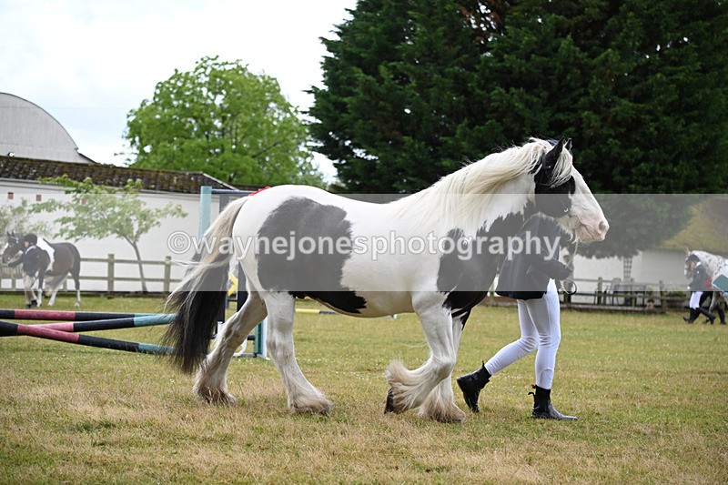 WJ6_8684 - Class 10 Coloured in-hand