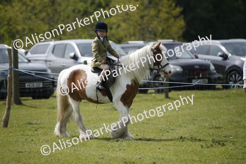 20260426-1869 - Class 7 - Pony Judge Would Most Like To Take Home