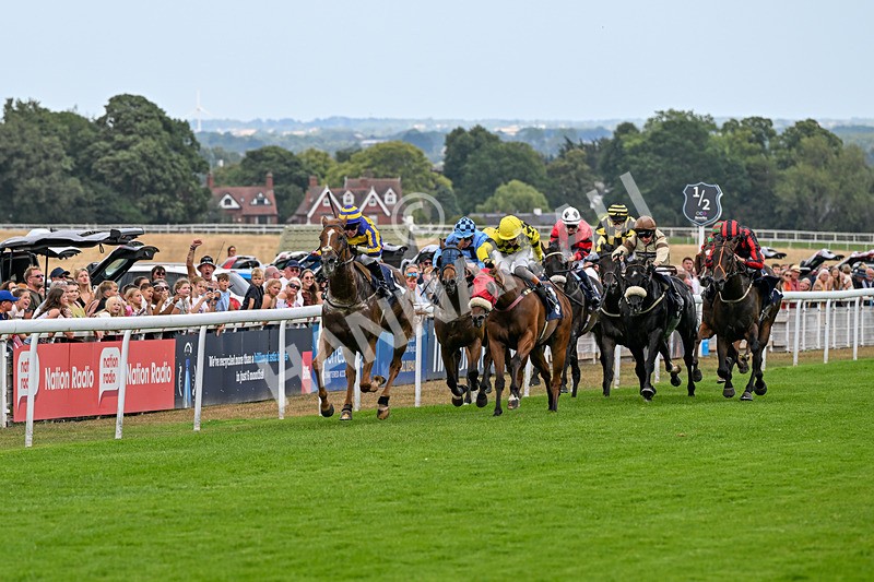 280726-Race 6-Azuinthejungle-1678 - Race 6 16.30pm It's Ladies Day Next On 12 August Handicap